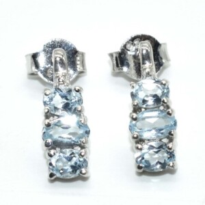 Blue Topaz (0.8Cts) Earings