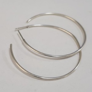 $120 Silver Earrings