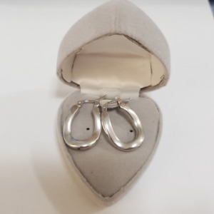 $100 Silver Earrings