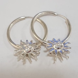 $160 Silver Earrings
