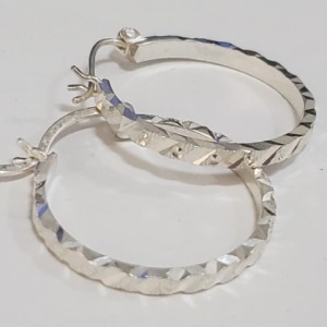 $120 Silver Earrings
