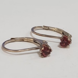 $100 Silver Garnet Earrings