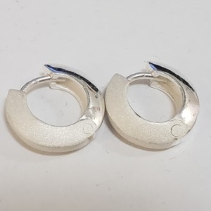 $120 Silver Earrings