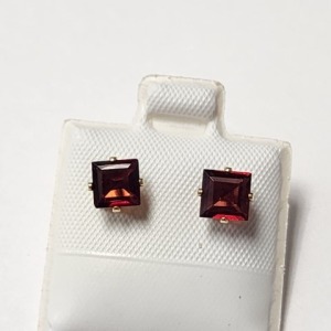 $160 14K Yellow Gold Filled Garnet(0.8ct) Earrings