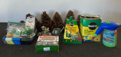 Pine Cones, Garden Plants, And More