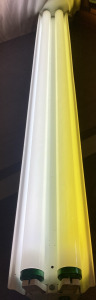 EB-Hanging Light