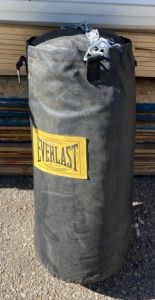 40 Pound Everlast Punching Bag