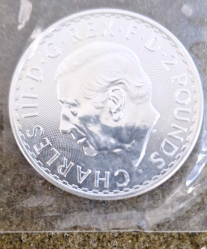 (1) 1-Oz Brittania .999 Fine Silver Coin.