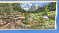 Framed Bev Doolittle Native Landscape Print - 3