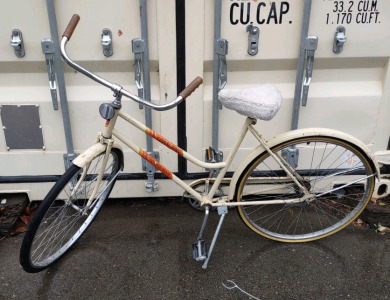 26" Coast King Coaster Brake (Tan/Little Orange) Bike