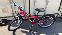 20” DynaCraft Shock Zone Bicycle (Magenta)