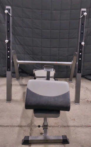 Linex Bench w/ Weight Holder No Weights