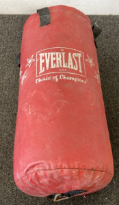 Red Everlast Punching Bag