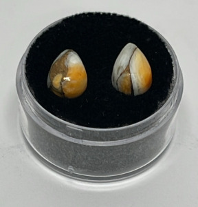 4.75ct. Pair Of Oyster Copper Turquoise Cabochones