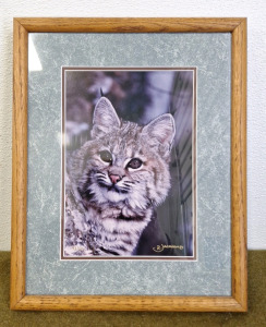 (1) Richard Jackson Potography,, Signed Color Print, Bobcat #93 Of 500