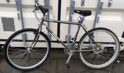 26" Giant Iguana (Blackish Brown) Bike