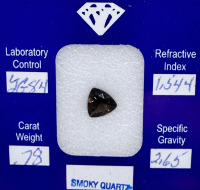 Gem Certified Smoky Quartz w/ Case