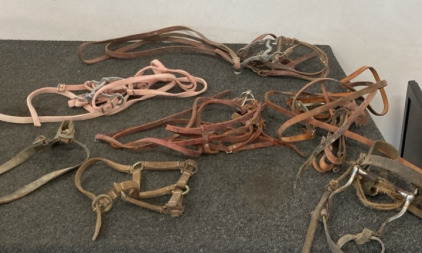 (2) Halters, (2) Harnesses, Horse Bit, & Bridle Set