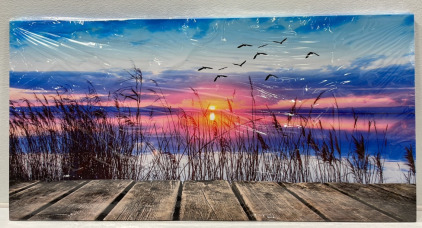 Large 5&rsquo;X2-1/2&rsquo; Canvas Art