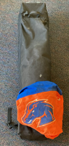 BSU Canopy