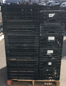 (24) Plastic Crates