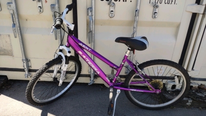 24" Kent 2.4 Terra (Purple) Bike