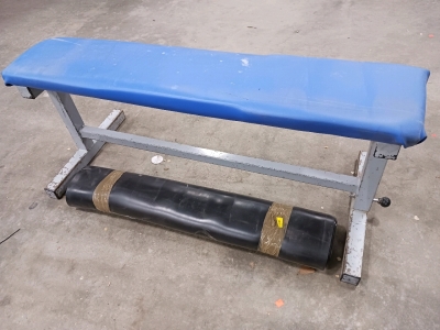 Weight Bench 48" and Mat