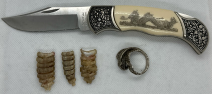 Stainless Steel Folding Knife w/ Dragon Image, Rattlesnake Rattles, & Cobra Ring w/ Red Stone