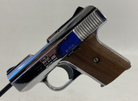 Raven Arms MP-25 in 25ACP Pistol