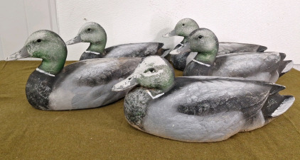 (5) Duck Decoys