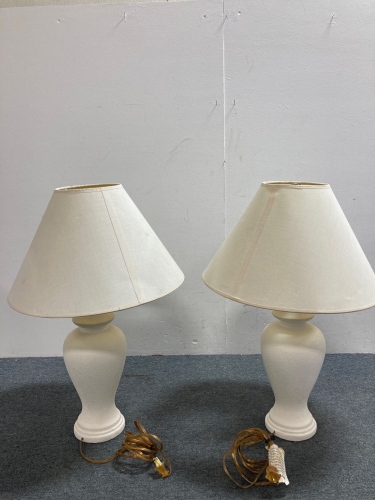 (2) Decorative Lamps