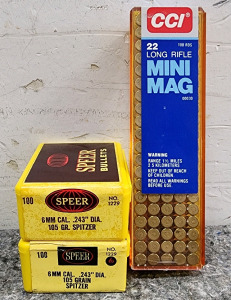 100 Rounds .22 LR; (2) Boxes 6mm Cal 105 Gr. Spitzer Bullets, 200 Total