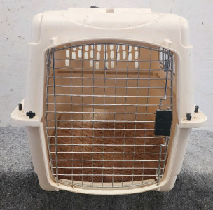 Petmate Medium Sized Kennel/Carrier With Bed Pad