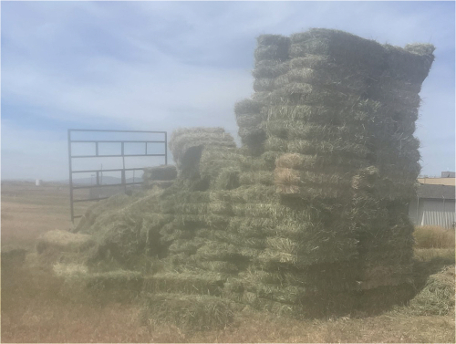 MVTC (140) Bales Grass Hay- Located South of Boise