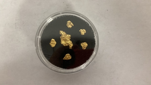 (6) Gold Nuggets
