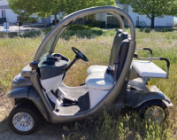 2001 GEM 825 ELECTRIC GOLF CART - 2