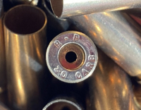 Various Brass Loading Shells - 2