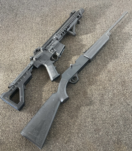 Daisy Power Line 856 & DPMS SBR BB Guns