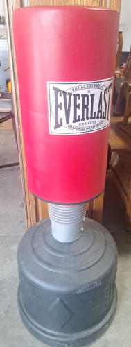 Everlast Boxing Punching Bag