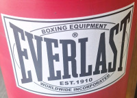 Everlast Boxing Punching Bag - 2