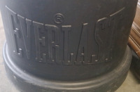 Everlast Boxing Punching Bag - 3