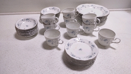 Vintage Silver Lining Porcelain Plates w/ Blue Flowers on it