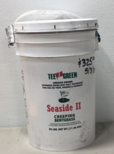 Seaside 2 Tee Green Salt