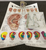 Reflexology And Acupuncture Charts