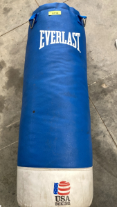 Everlast Punching Bag