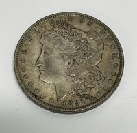 1891 Morgan Silver Dollar