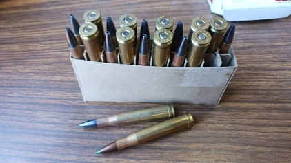 10rds .300HH Magnum Hollow Point Reloads, and 10rds .300HH Magnum 180gr Nosler Bronze Tip Reloads