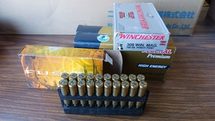 ~60rds .300winmag Ammunition