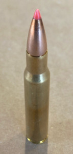 (20) Rounds of 30-06 Springfield 165 Grain Red Tips