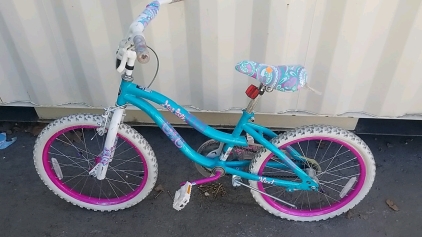 20" NEXT turquoise bike